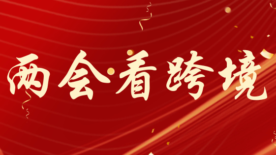 两会热词照亮跨境电商：新机遇与挑战并存
